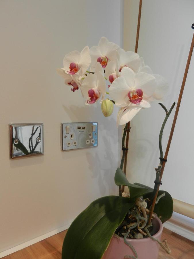 Boynton Hill B&B Nottingham Eksteriør billede